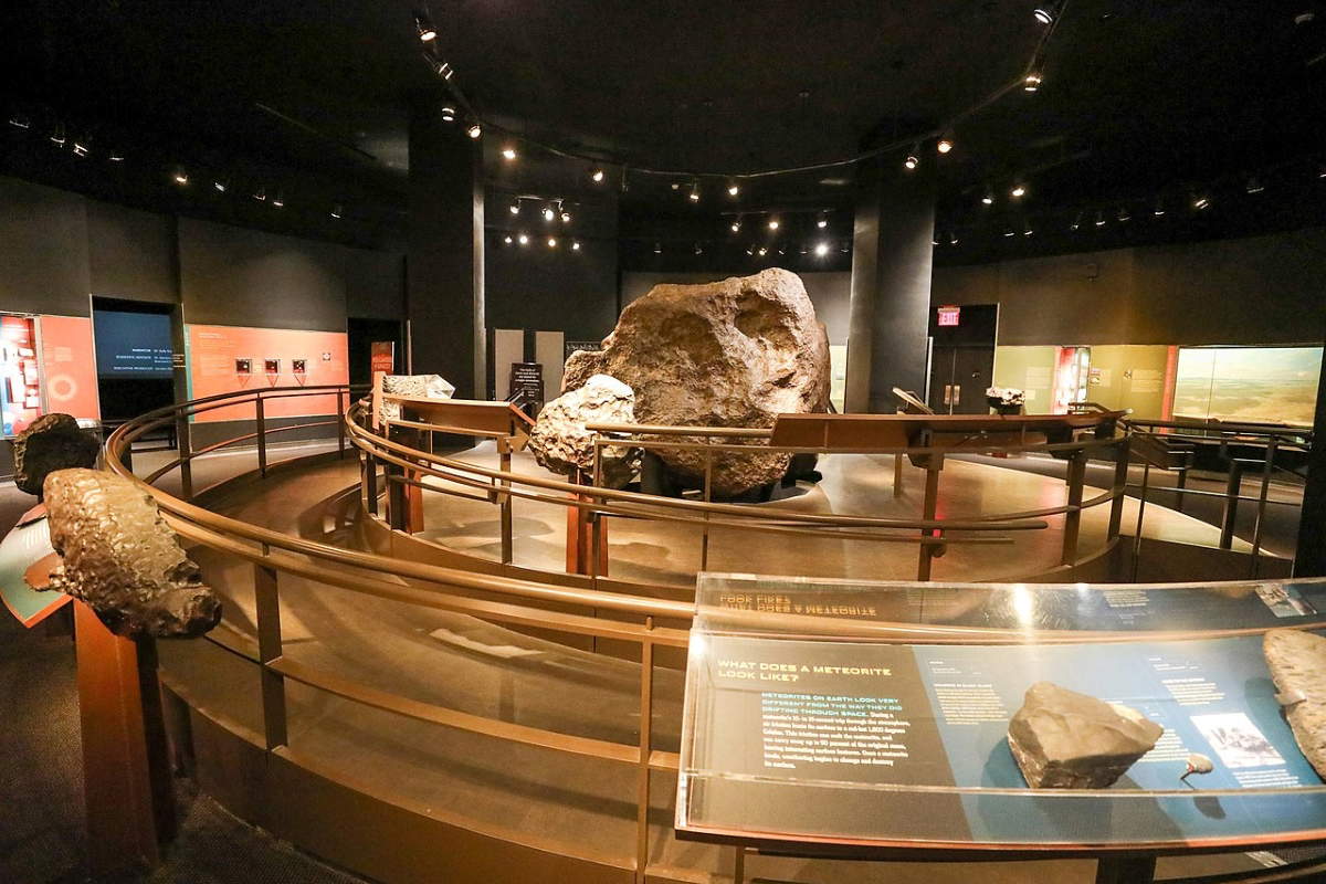 american museum of natural history nyc