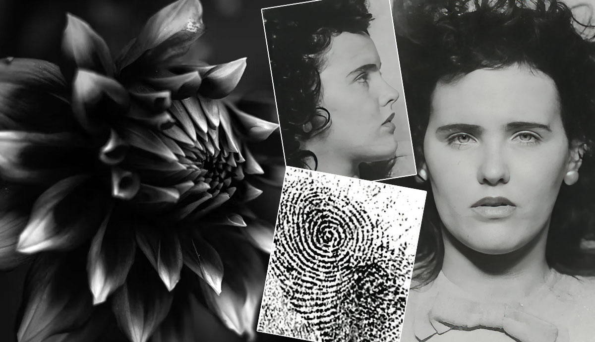 black dahlia case shocking facts