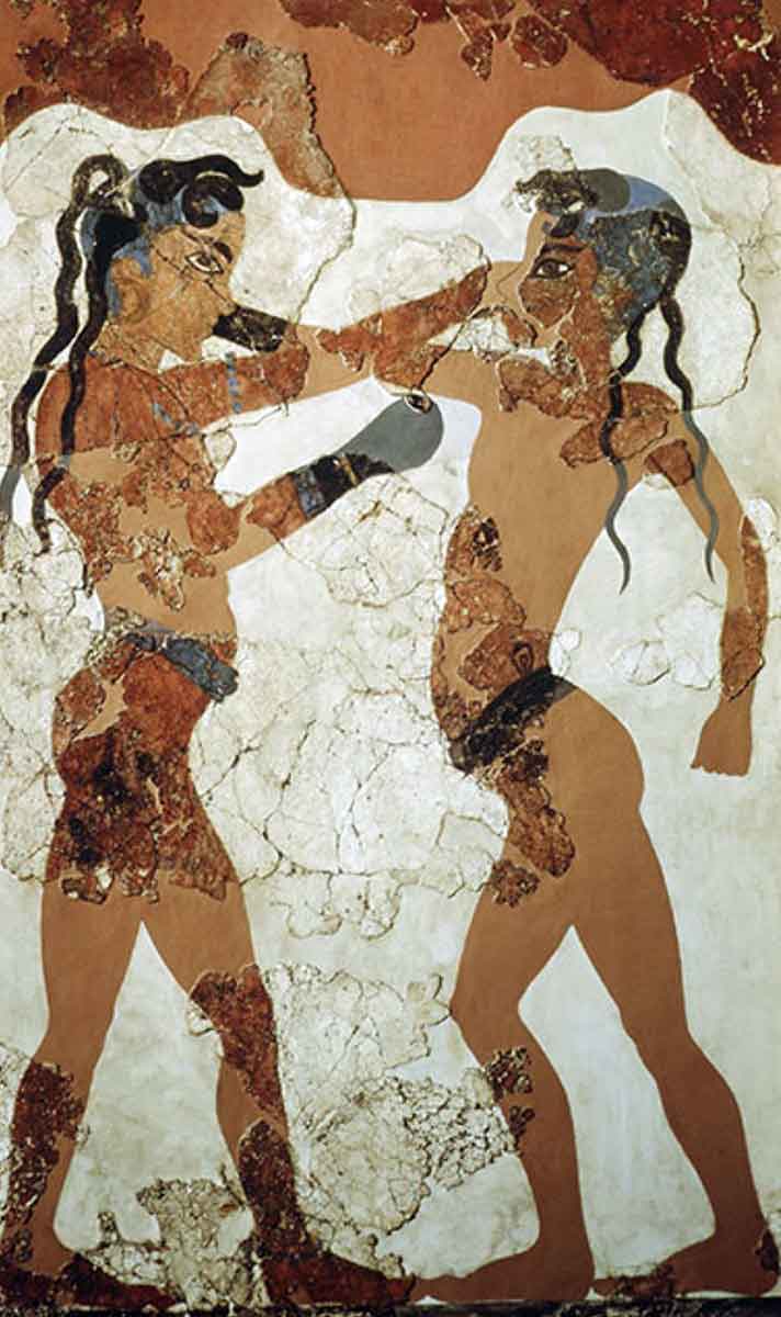 boxer fresco thera