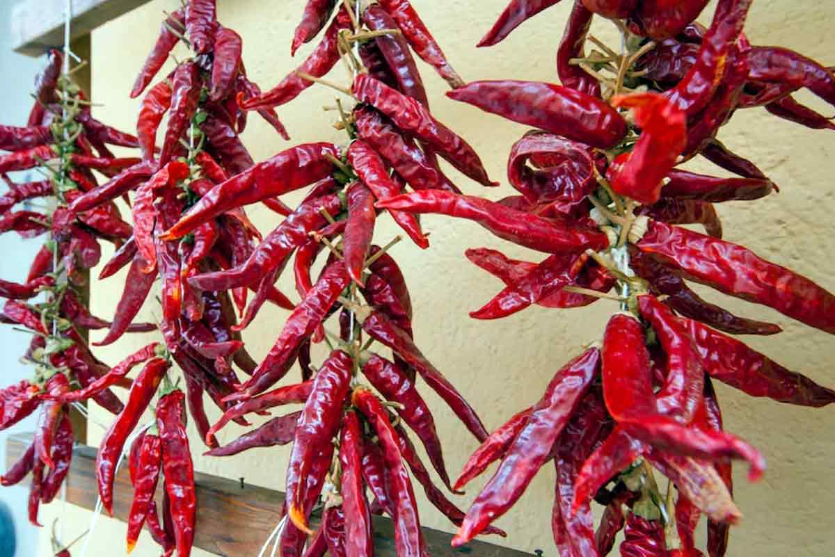 dried chili peppers calibria