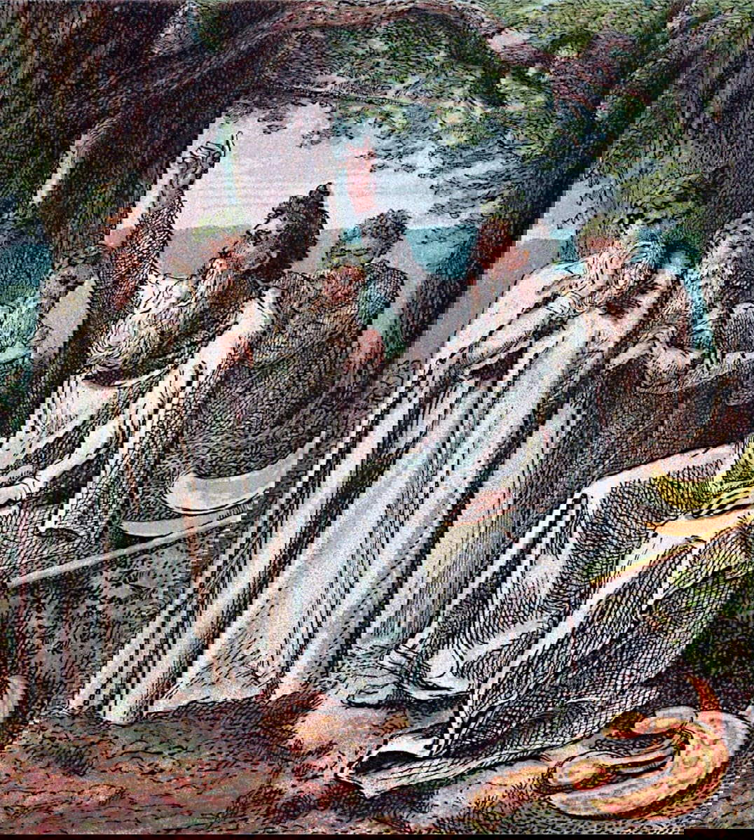 druids ole england roman britain