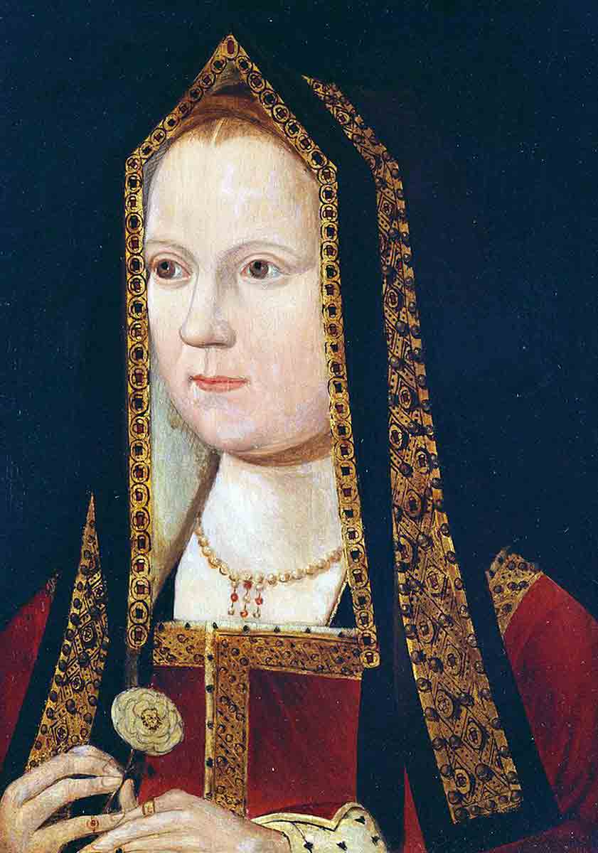 elizabeth of york meynnart wewyck
