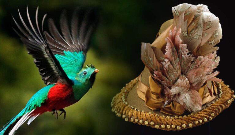 feather thief story