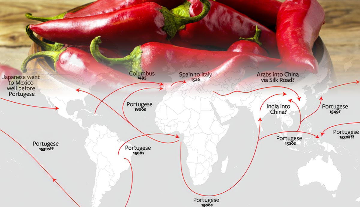 history chili peppers berry world