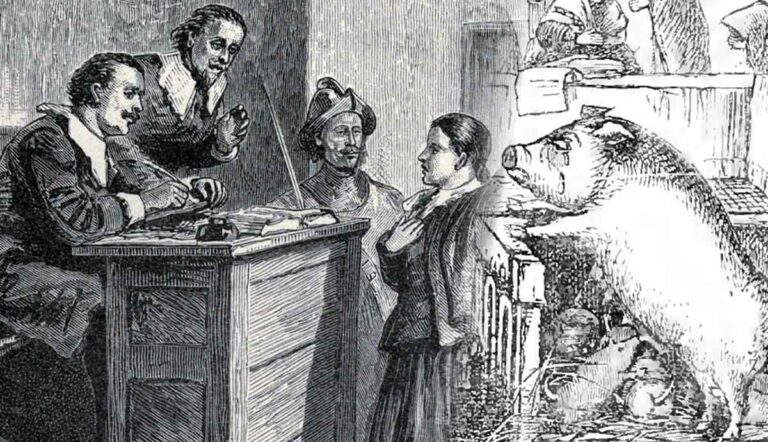 middle ages pig go on trial