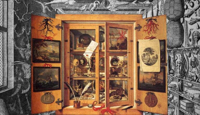 museum-wormiani-istoria-domenico-remps-cabinet-of-curiosities