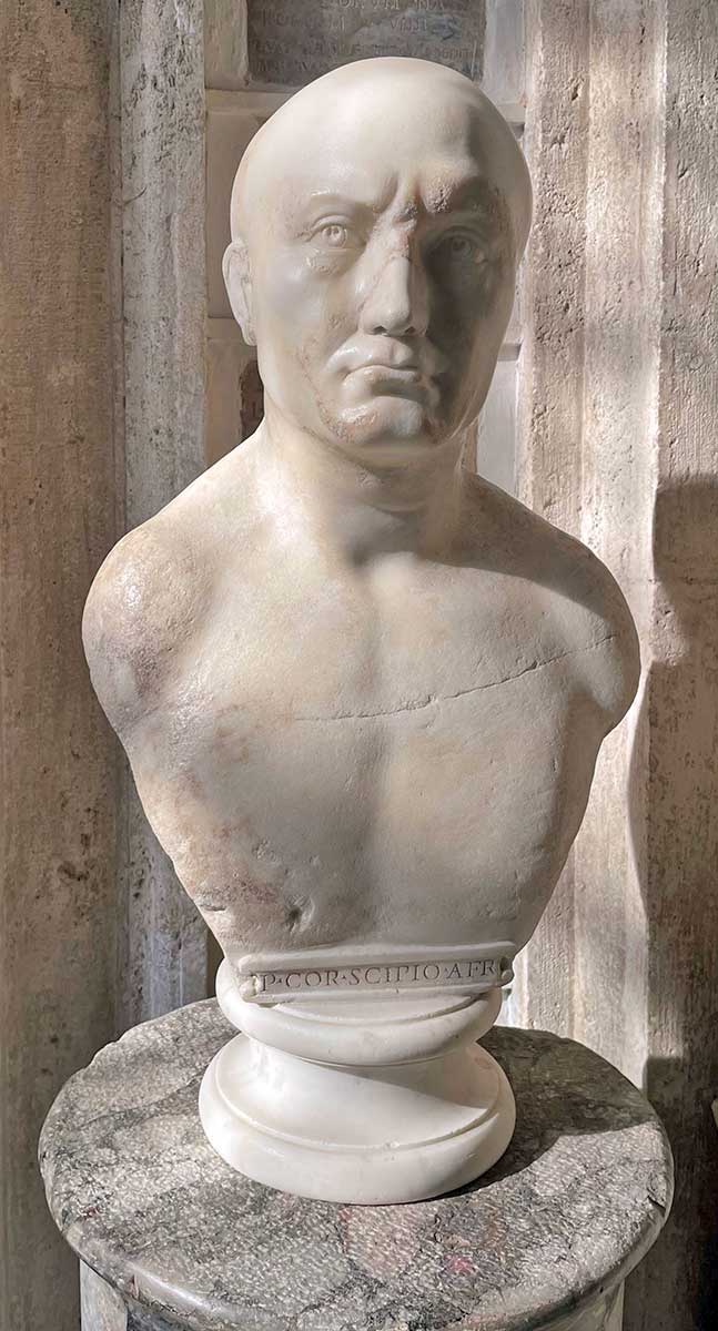 scipio africanus