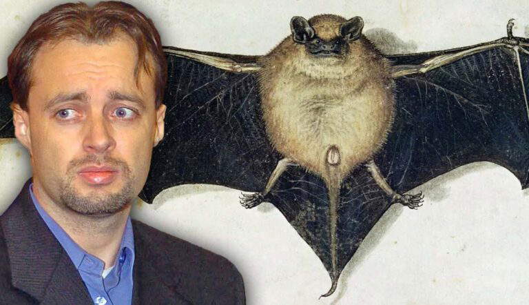 stephane breitwieser art thief story