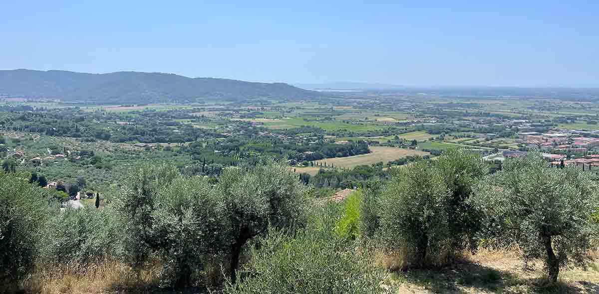 trasimene landscape