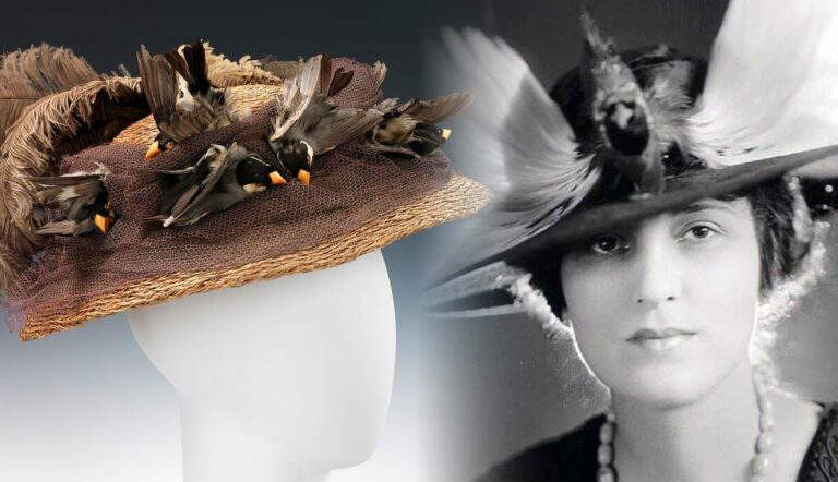victorian great feather craze ecological impact