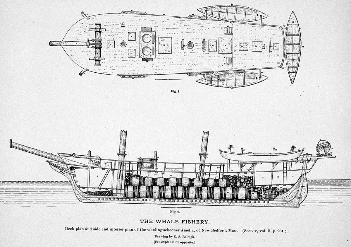 whale ship deck plan diagram